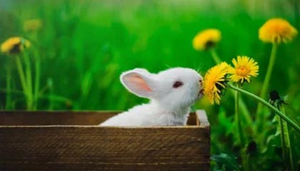 九游赛事-惊险一役！欧洲预选赛中发生了令人措手不及的情况，欧洲预选赛制