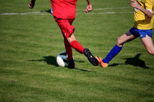 九游入口-仰泳大战美队领先毫厘之间，仰泳比赛视频欣赏